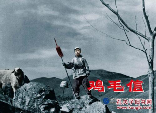 怎么办假冰岛驾驶证